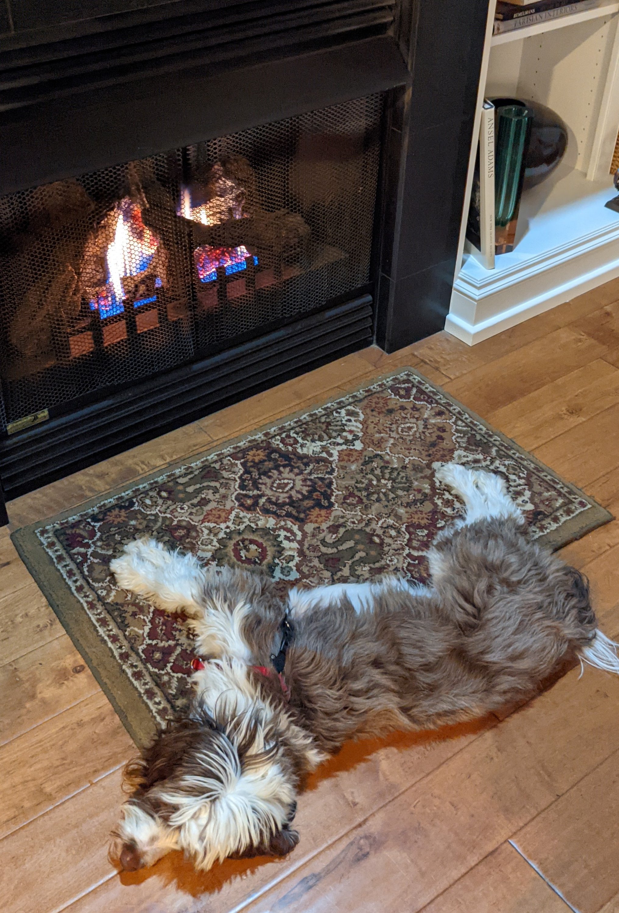 Thanksgiving Morning 2021